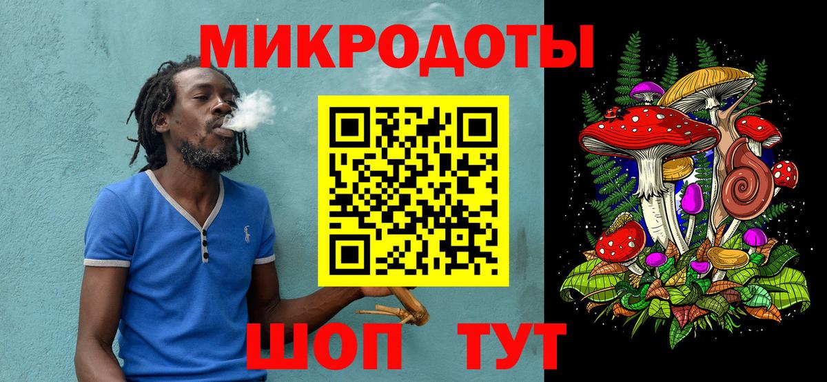 Псилоцибиновые грибы Psilocybe Санкт-Петербург